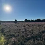 Wintermoor Schneverdingen