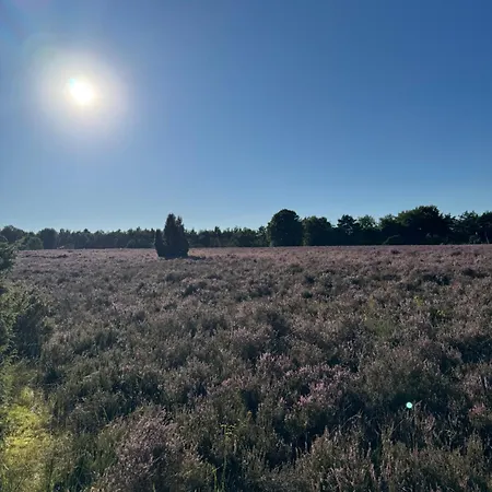 Ferienhaeuser Wintermoor Schneverdingen