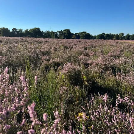 Apartment Wintermoor